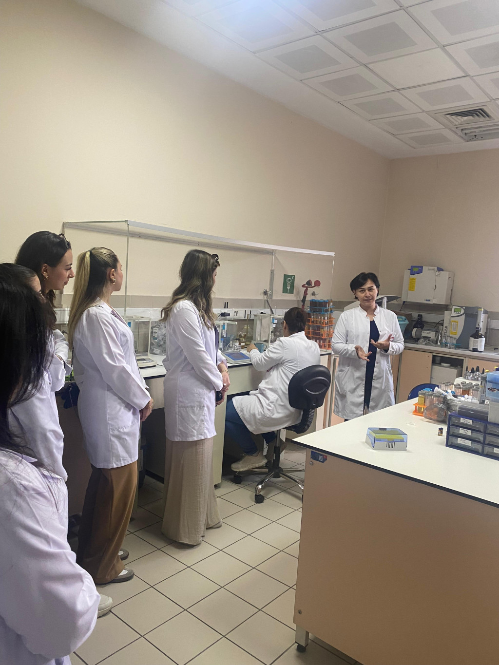 1745568533-WhatsApp Image 2025-04-25 at 09.07.15 _5_.jpeg